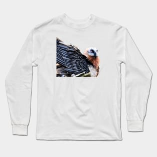 Bearded Vulture / Swiss Artwork Photography Long Sleeve T-Shirt